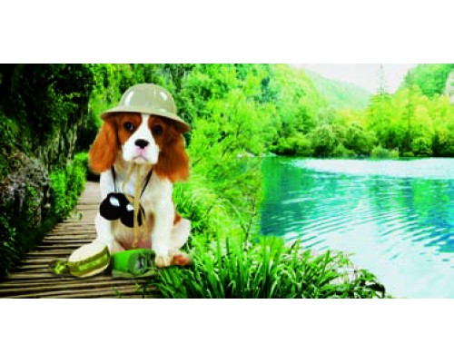 Desk Calendar DC 6
